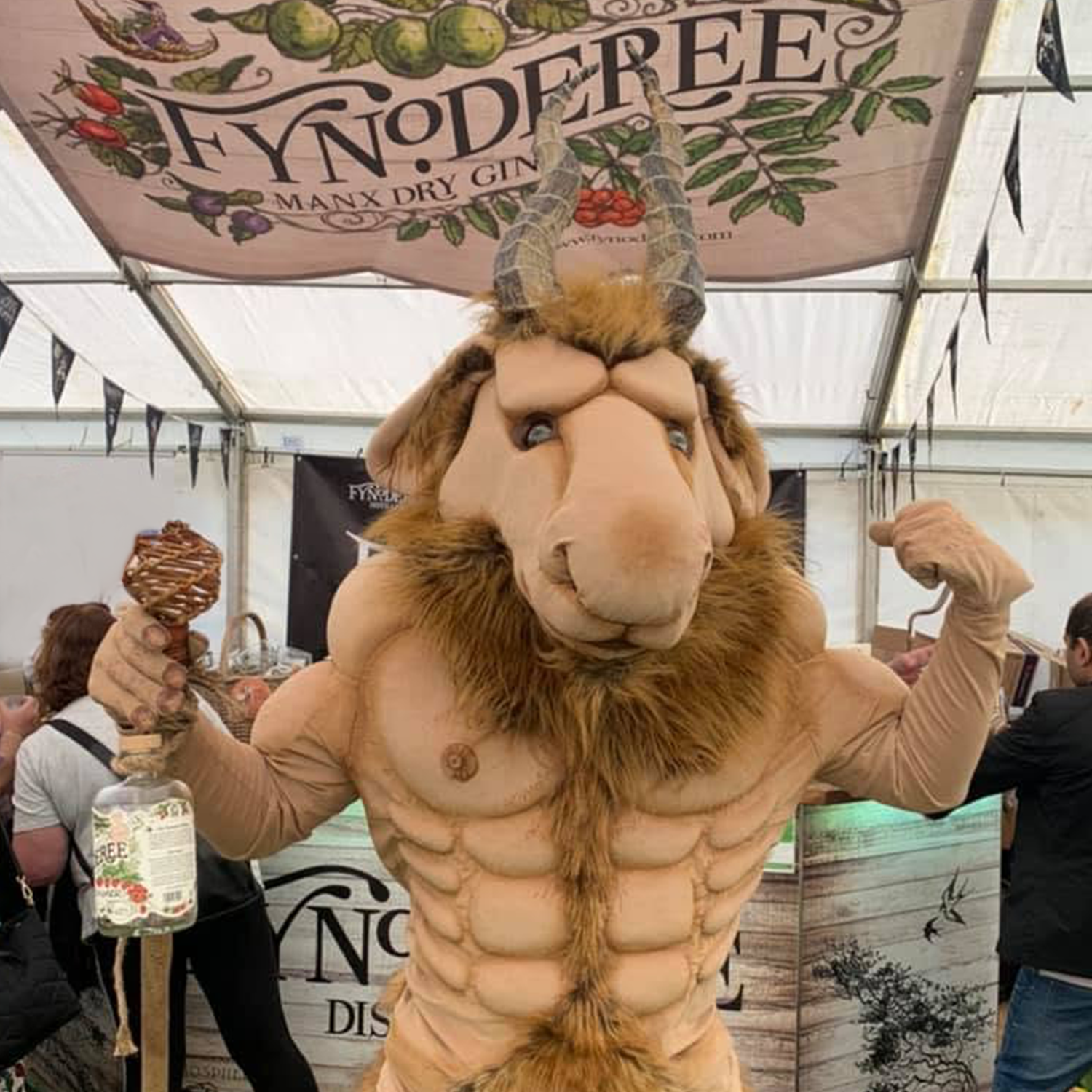 Shows, Feasts & Fynoderee
