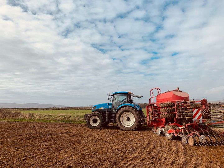 Sowing Time/ Traa Correy